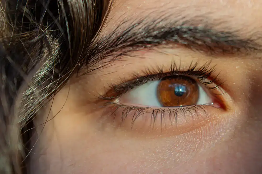 Close up of a client with perfectly styled eyelashes and brows