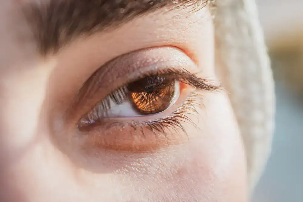 Close up of expertly styled brows and lashes