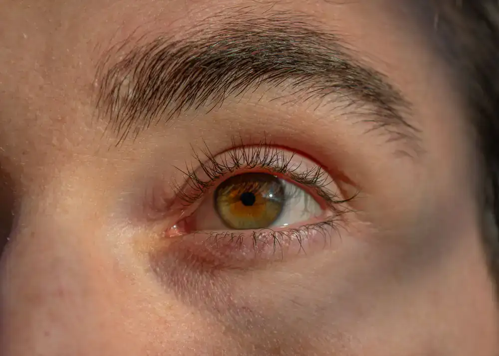 Close-up of laminated eyebrows showing textured fullness