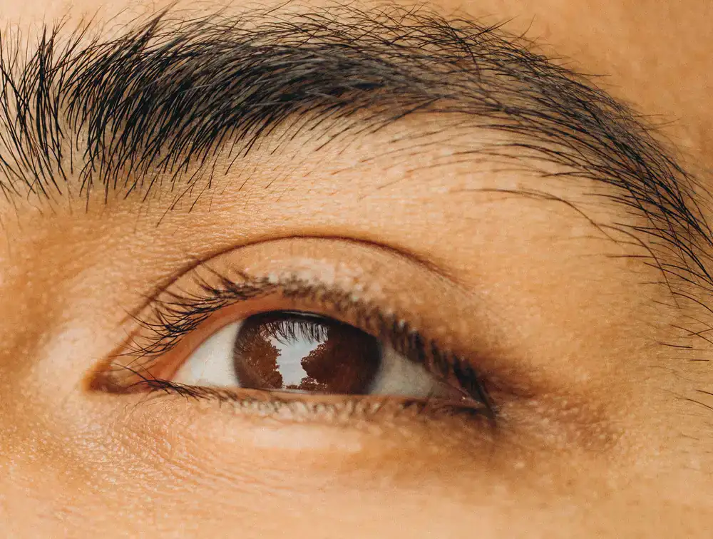 Close-up of nicely shaped and tinted eyebrows